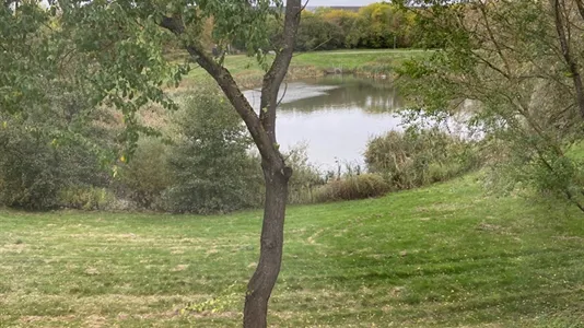 Kontorlokaler til leje i Roskilde - billede 8