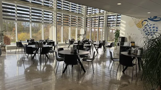 Kontorlokaler til leje i Vejle Centrum - billede 13